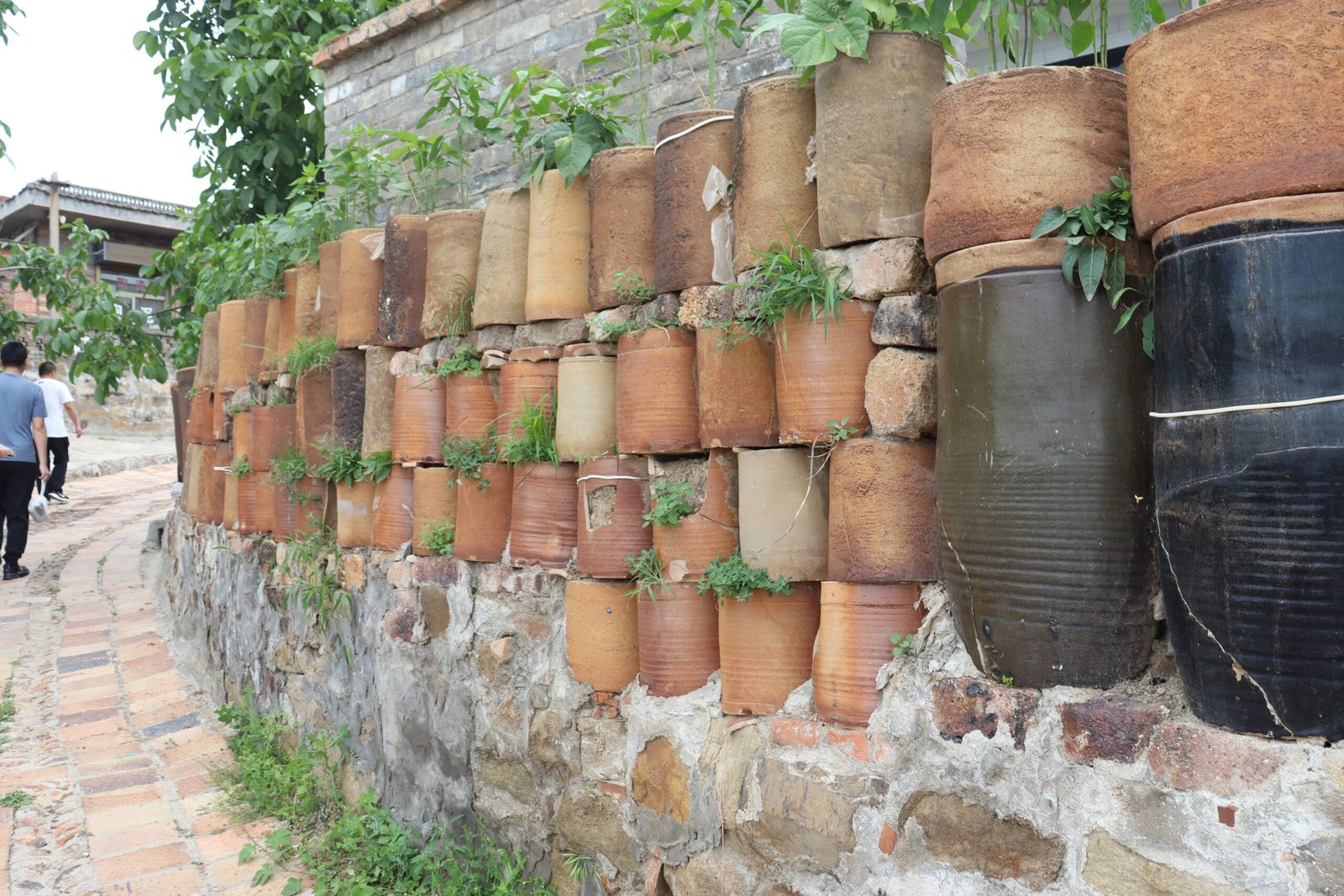 A resolved family of related Chenlu ceramic forms